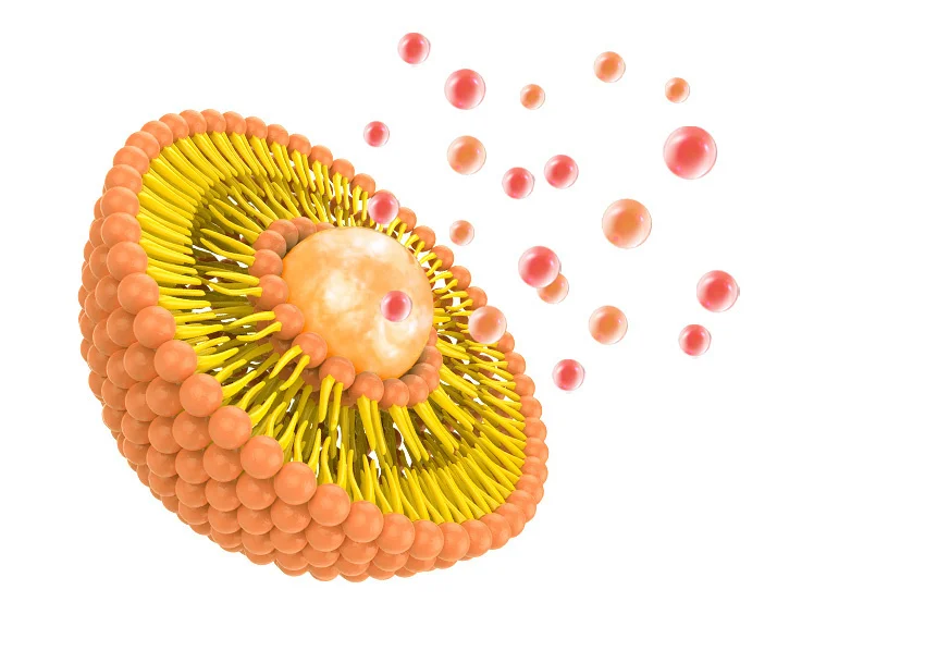 リポソームマルチビタミン